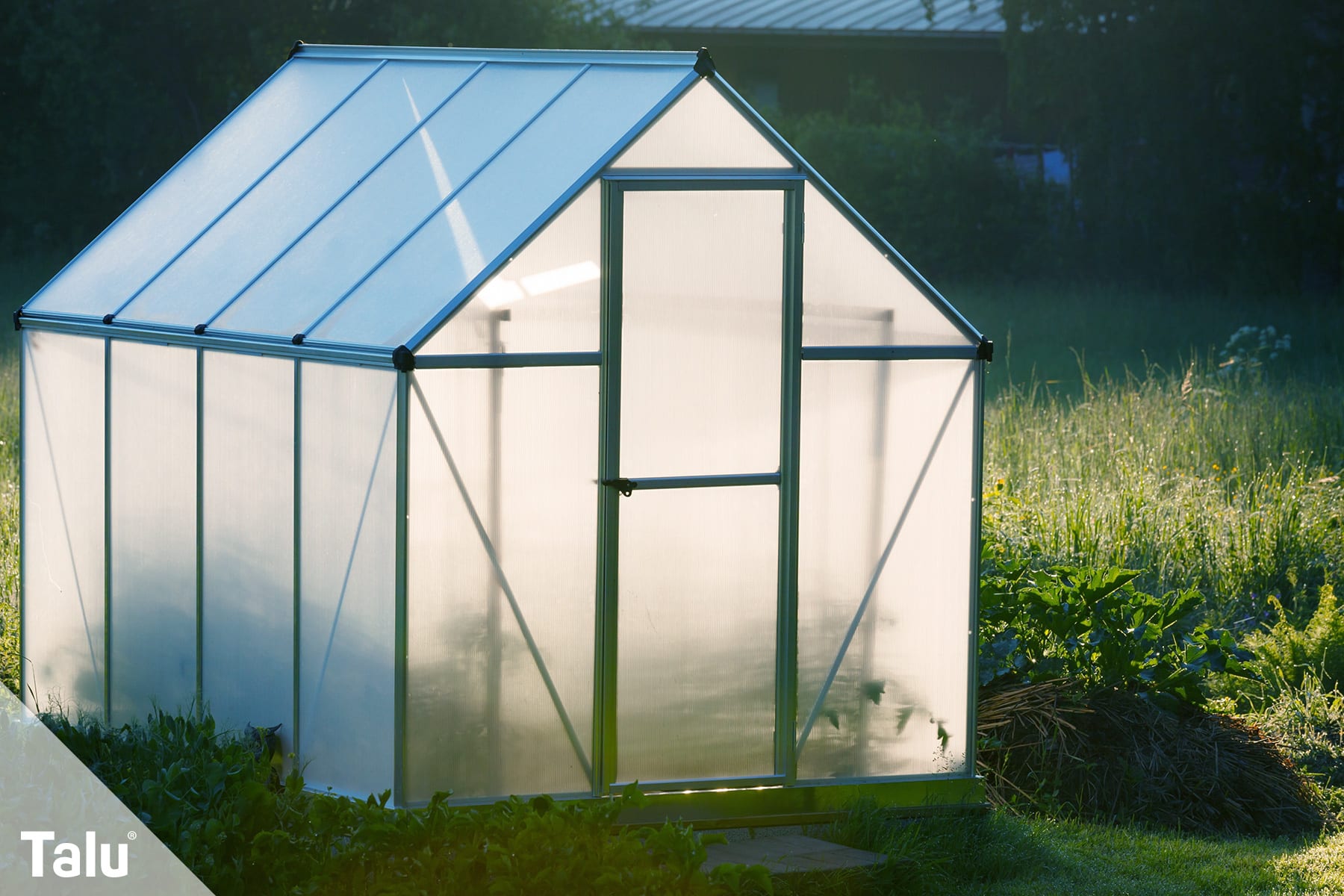 Frostfreies Gewächshaus